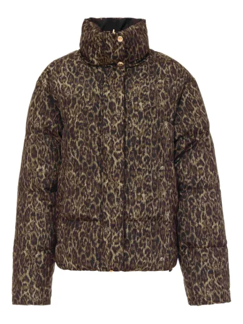 Just Cavalli leopard-print quilted jacket Brown 79PAS422CQDS5