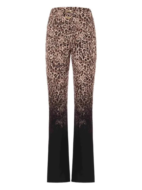 Just Cavalli leopard-print gradient trousers Brown 79PAA1P1NS752