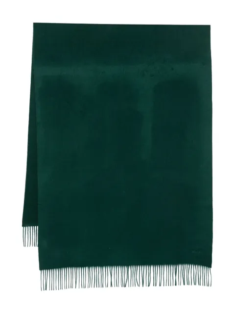 Max Mara fringed cashmere scarf Green 2524546331600