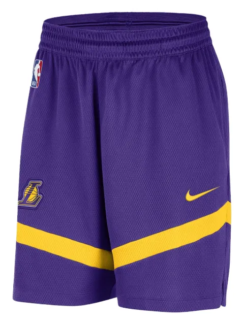 Nike NBA Lakers Icon shorts Purple DZ3722