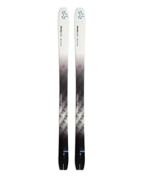 SKITRAB Ski Trab GAVIA 85 skis Grey 13187