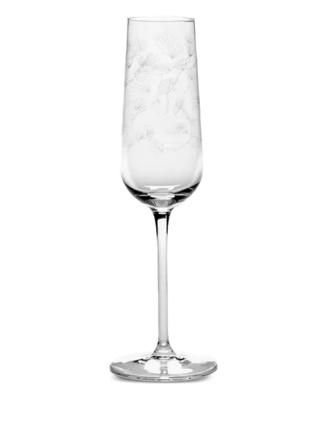 Serax etched-floral champagne flute White B0823304050