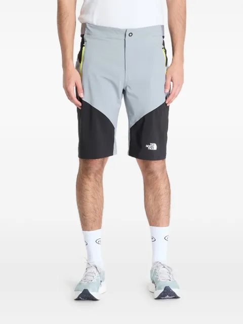 The North Face Felik shorts Grey NF0A825X