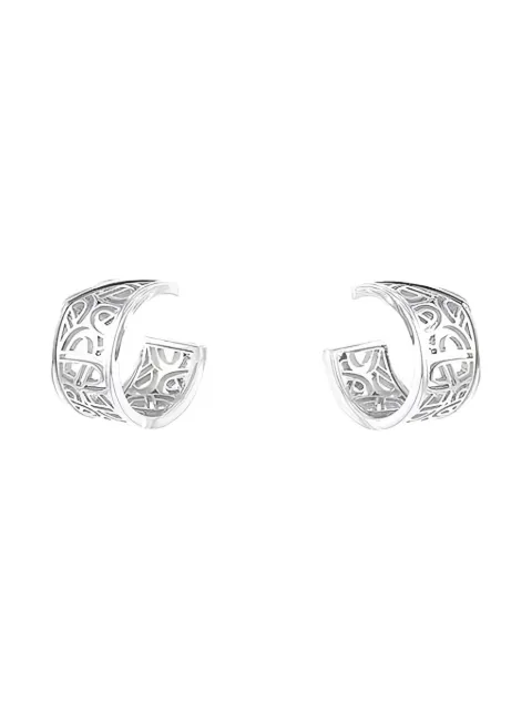 Poiray 2010s white gold Fil diamond earrings Silver 377191