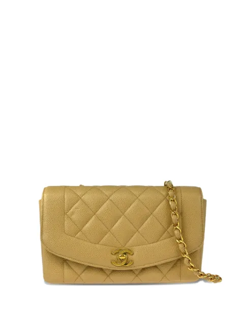 CHANEL Pre-Owned 1995 small Diana shoulder bag Neutrals 3358128