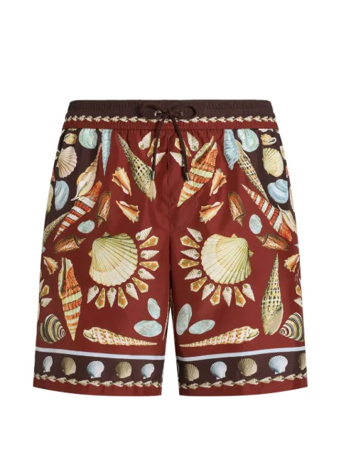 Dolce & Gabbana shell-print swim shorts Brown M4F50TFIM6Z
