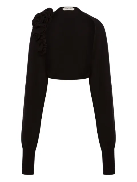 Alberta Ferretti appliqué-detail sweater Black AEF252U09246601