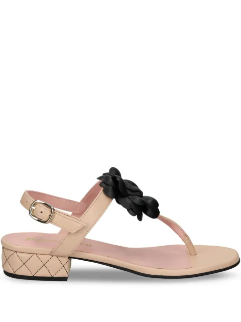 Pretty Ballerinas 30mm flower-detailing sandals Neutrals 52269B