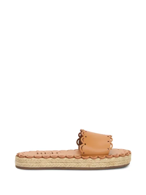 RED(V) scalloped slide sandals Brown QS0H51BYU