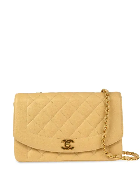 CHANEL Pre-Owned 1995 medium Diana shoulder bag Neutrals 3002340