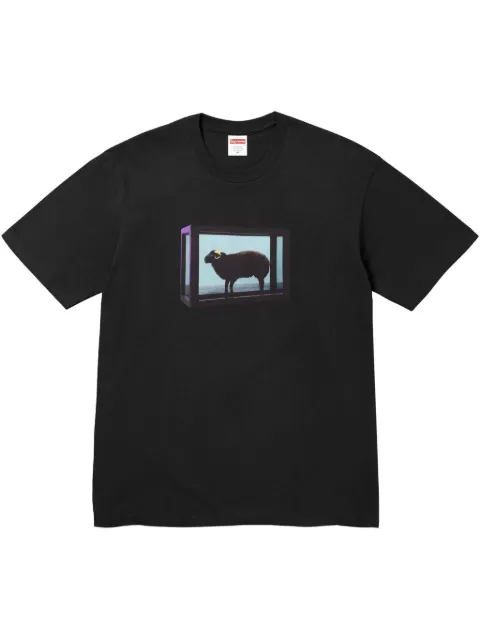Supreme x Damien Hirst printed T-shirt Black SU25050