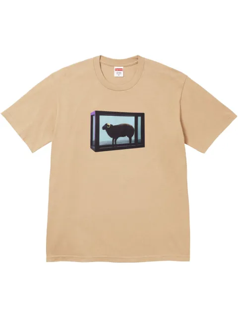 Supreme x Damien Hirst printed T-shirt Neutrals SU25048