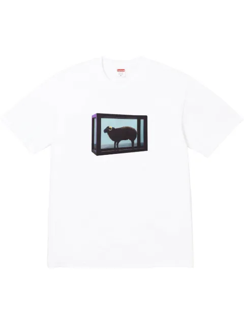 Supreme x Damien Hirst printed T-shirt White SU25051