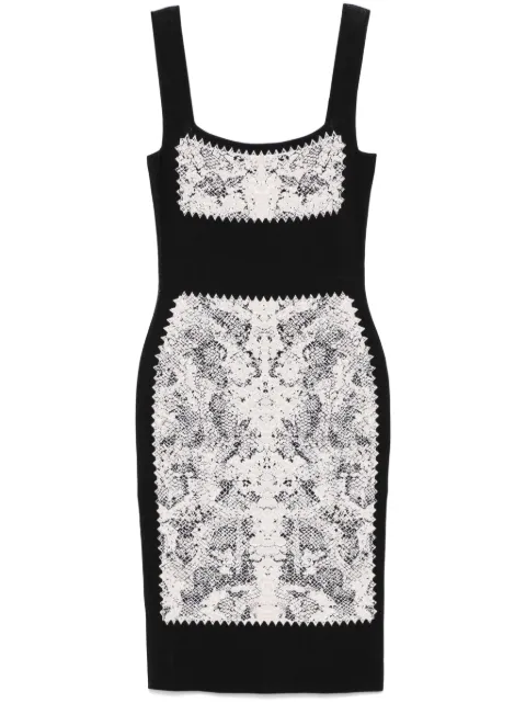 Alexander McQueen snake print knit dress Black 351092Q1VPP