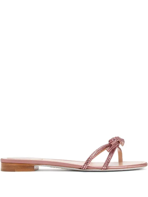 René Caovilla bow-detail sandals Pink C12357010
