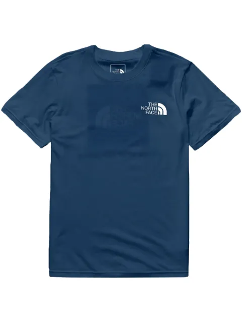 The North Face NSE Box "Blue" T-shirt Blue NF0A812HMPF