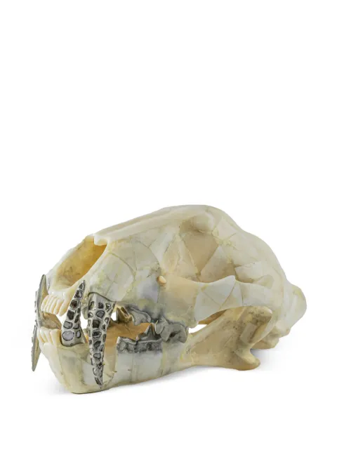 Parts of Four Leopard Skull decor Neutrals 6311MBMZDIA