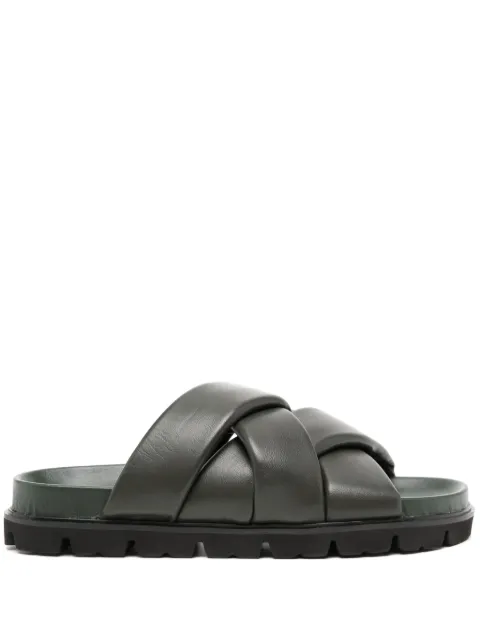 Senso Ian slides Green IAN