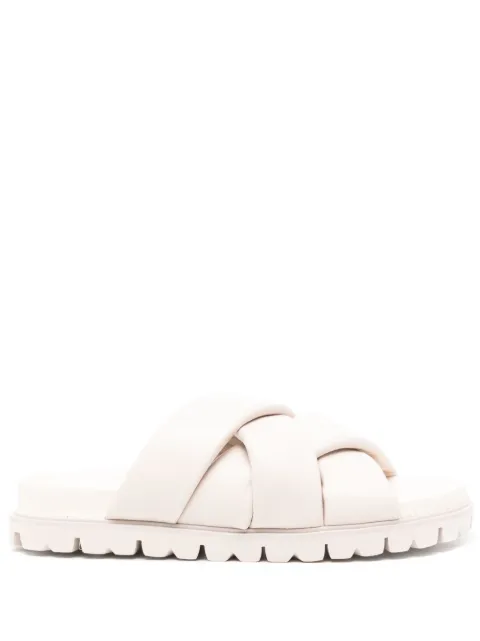 Senso Ian slides White IAN