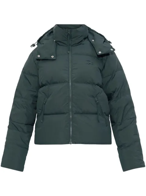 Lacoste hooded down jacket Green BF3262