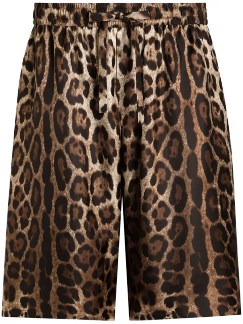 Dolce & Gabbana leopard-print shorts Brown GV37ATIS1B7