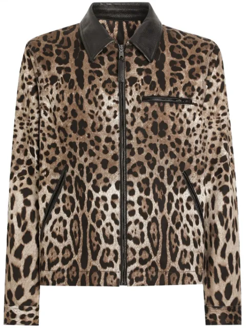 Dolce & Gabbana leopard-print bomber jacket Brown G9BIOTFSFN4