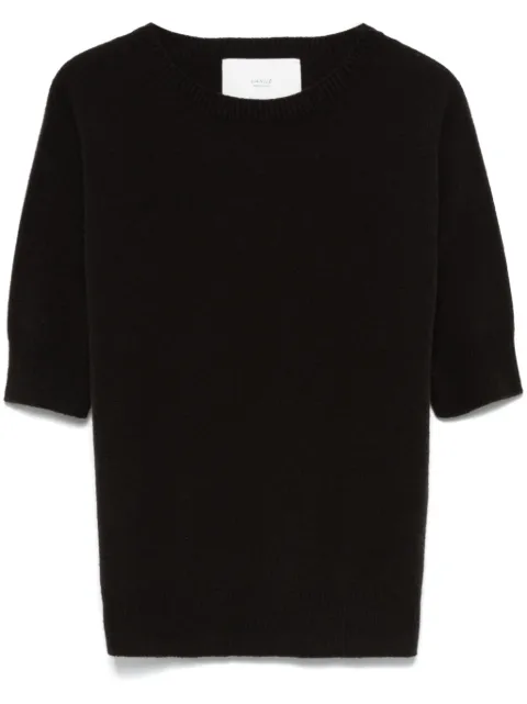 Vanisè cashmere T-shirt Brown V36614