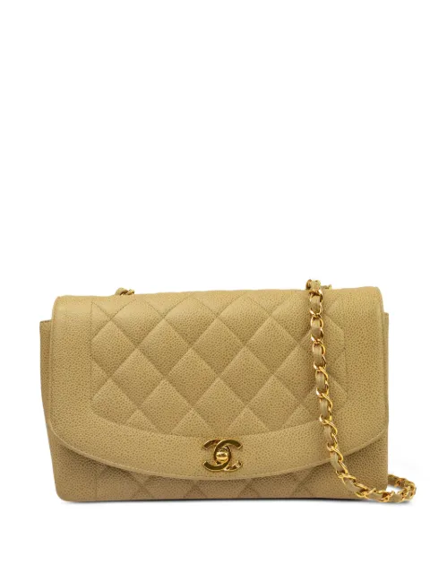 CHANEL Pre-Owned 1995 medium Diana shoulder bag Neutrals 3271919
