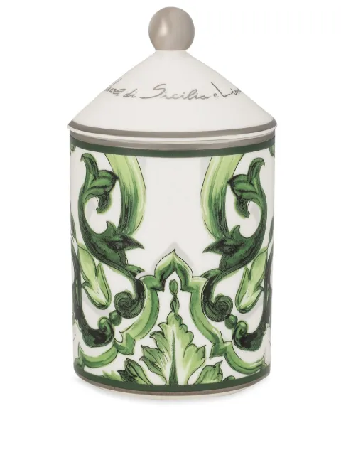 Dolce & Gabbana porcelain scented candle Green TCC113TCAHZ