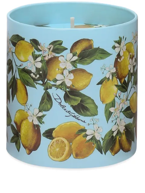Dolce & Gabbana scented candle Blue TCC159TCAG3U0070