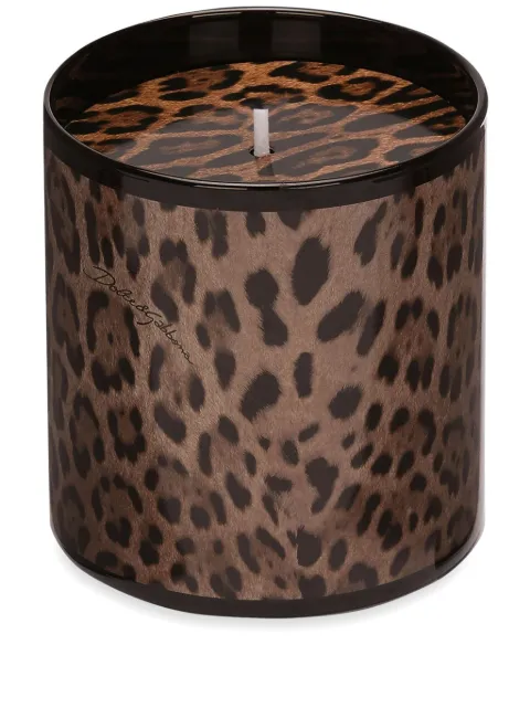 Dolce & Gabbana scented candle Brown TCC159TCAG3UL026