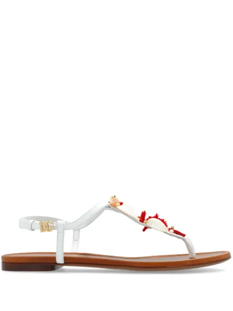 Dolce & Gabbana coral-embroidered leather sandals White CQ0604AW116