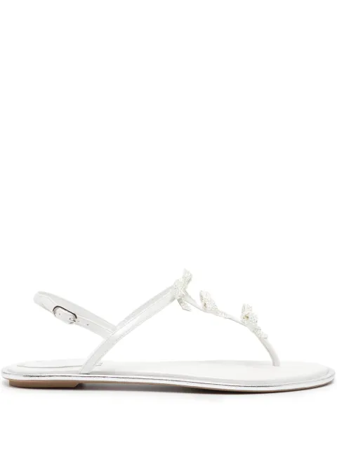René Caovilla Caterina thong sandals White C12018010R001X318