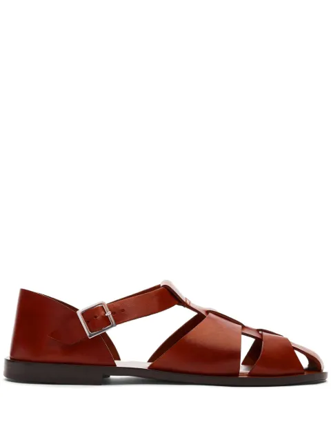 Scarosso Apollo buckle-fastening leather sandals Brown APOLLOSANDCOGCALF