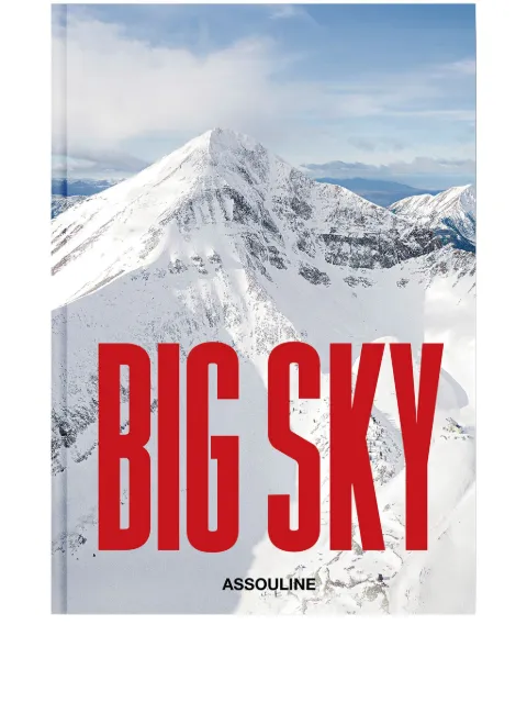 Assouline Big Sky by Barbara Rowley hardcover book Grey 9781649802590