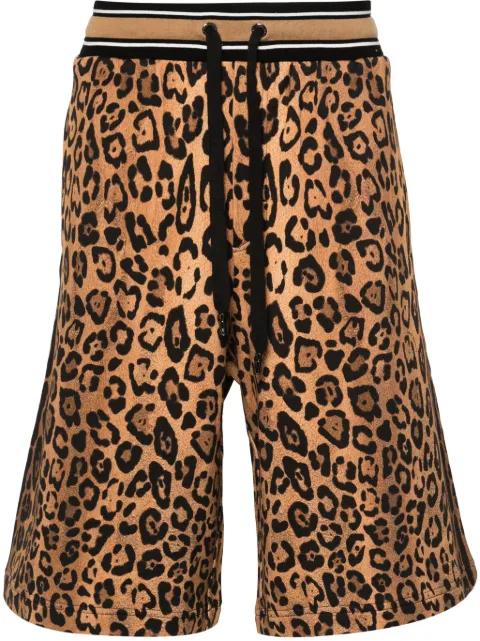 Dolce & Gabbana cheetah-print track shorts Brown GVUZATII7B4