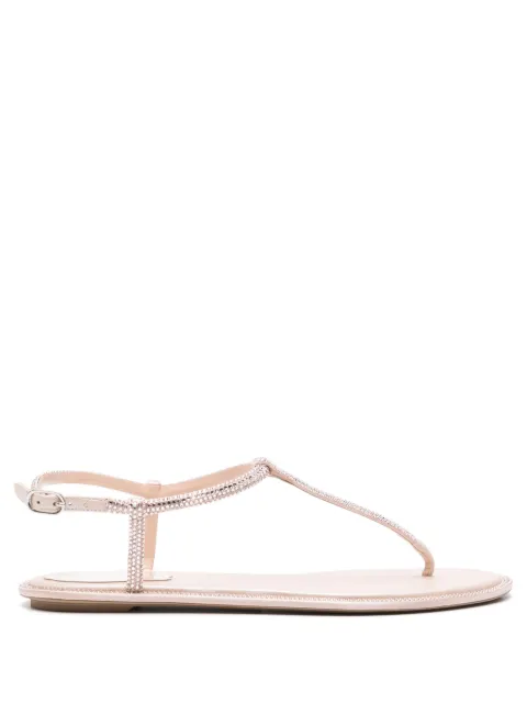 René Caovilla Diana sandals Pink C11574010R001V233