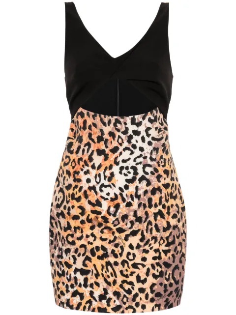 Just Cavalli cady leopard-print mini dress Black 76PAO902NS376