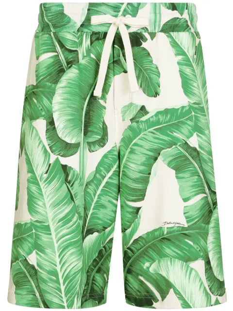 Dolce & Gabbana leaf-print cotton track shorts Green GVUZATHI7X6