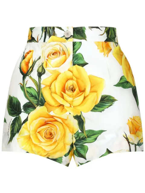 Dolce & Gabbana Yellow Rose cotton shorts White FTBTPTHS5NO