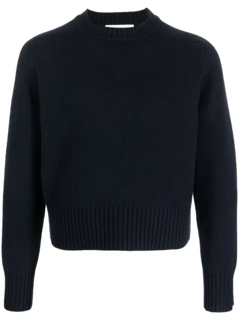 extreme cashmere N°167 Please cashmere jumper Blue PLEASE