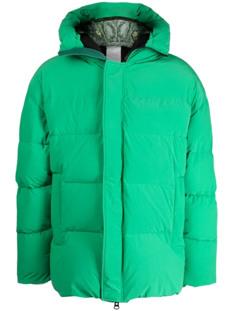 Doublet padded animal motif-hoodie jacket Green 23AW04CO54