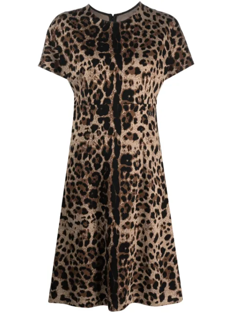 Dolce & Gabbana leopard-jacquard short-sleeved dress Brown F6DDATFJGAS
