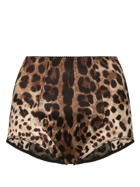 Dolce & Gabbana leopard-print high-waisted briefs Brown O2A18TONO21