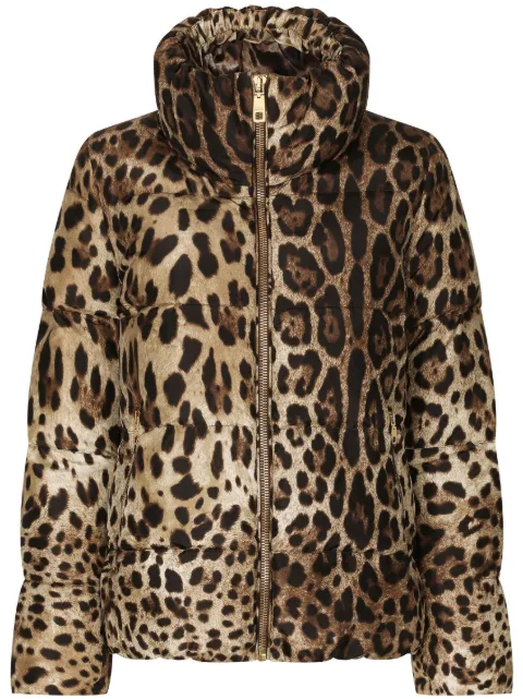 Dolce & Gabbana leopard-print padded jacket Brown F9R11THSMW8