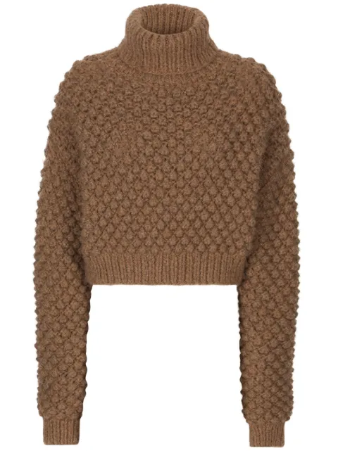 Dolce & Gabbana roll-neck cropped jumper Brown FXL70TJFMQ5