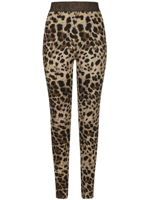 Dolce & Gabbana logo-waistband leopard-print leggings Neutrals FTCQKTFJGAS
