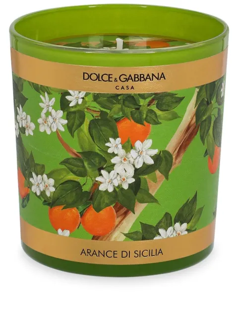 Dolce & Gabbana floral-print scented candle (250g) Green TCC087TCAIU