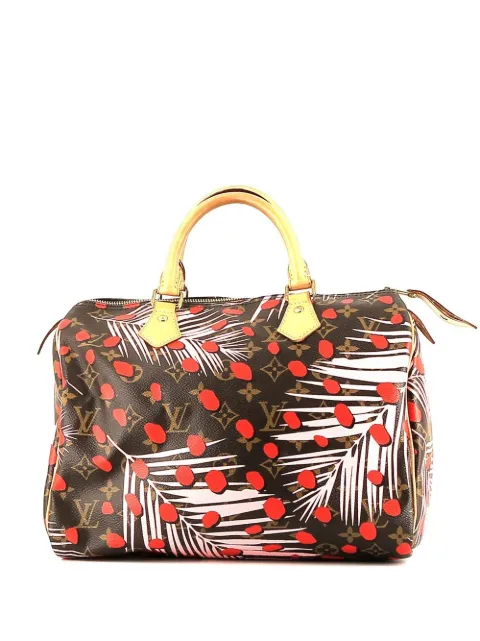 Louis Vuitton Pre-Owned x Takashi Murakami pre-owned Speedy 30 handbag Brown 394540