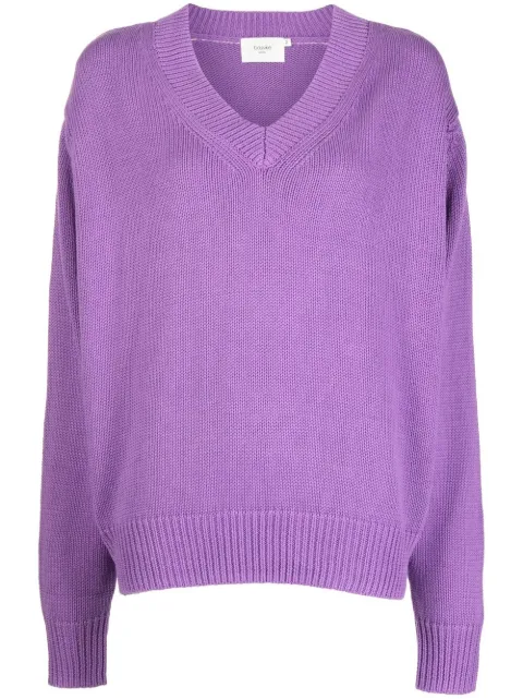 Bassike V-neck knit jumper Purple SS22WK02